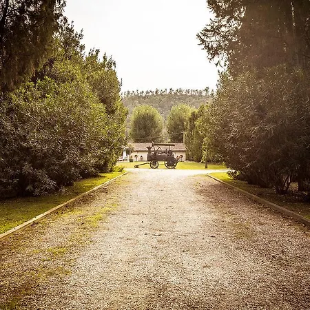 Meonia * Bomarzo